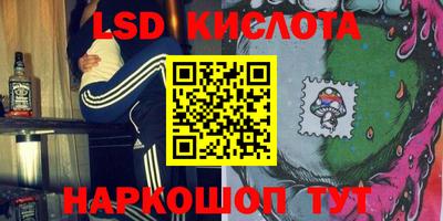стаф Кинель