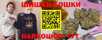 spice Камышлов