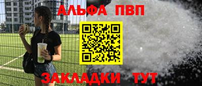хмурый Кингисепп